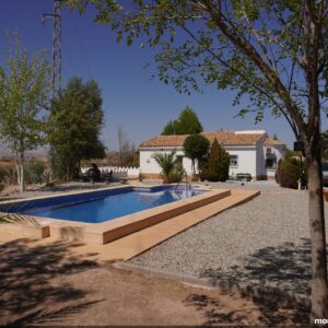 Olive Grove Freila