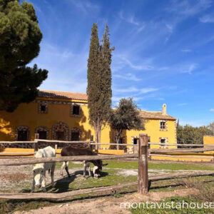 Cortijo en Campo de Caniles